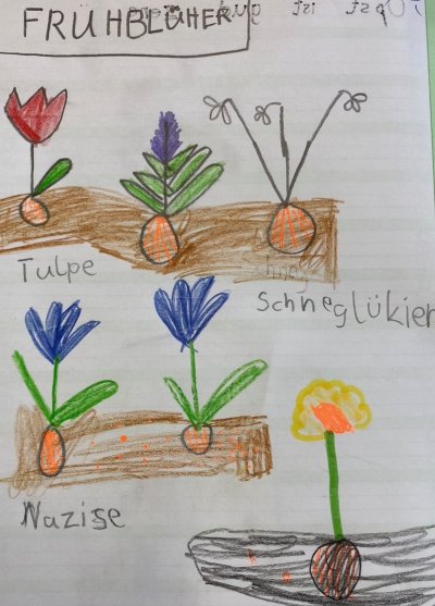 Sachunterricht